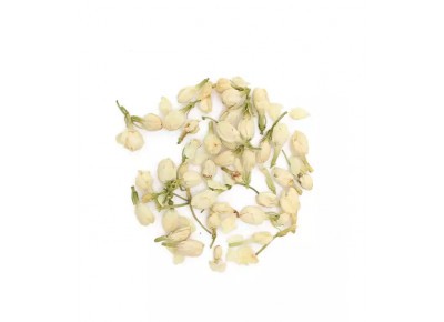 Kwiaty jaśminu (Jasminum spp.).