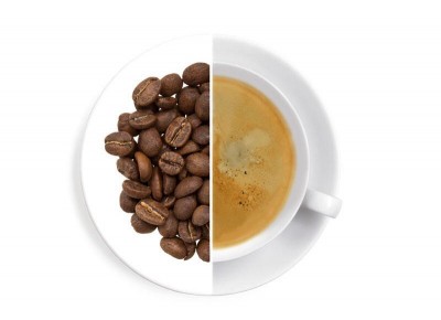 Guatemala SHB Las Amapolas