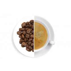 Guatemala SHB Las Amapolas
