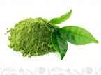 (Organic) China Matcha Shao Xing (Herbaty Zielone Bez dodatków)