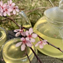 „Herbata i Zen mają ten sam smak” - herbata w Japonii