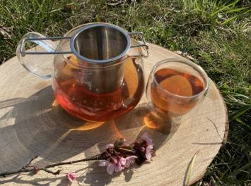 4 zasady zaparzania herbat