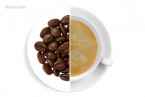 Belgijskie Pralinki bezkofeinowa (Kawy Ziarniste)