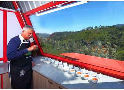 OXALIS TEA FACTORY Nilgiri Parkside Frost Tea - zbiór 2023 - opakowanie PREMIUM 50g (Herbaty Czarne Bez dodatków) Zdjęcie 2 z 3