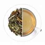Imbir i Cytryna Ice Tea (Herbaty Zielone Z dodatkami)