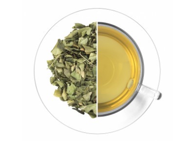 Liście Moringa (Moringa oleifera L.)