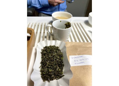 Darjeeling Risheehat SFTGFOP1 Flowery FF - zbiór 2024 - 50g - lotniczy
