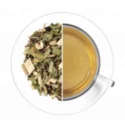 Rooibos zielony Hugo Ice Tea