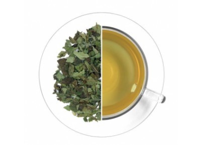 Melisa Lekarska (liście) (Melissa officinalis L.) (CZ)