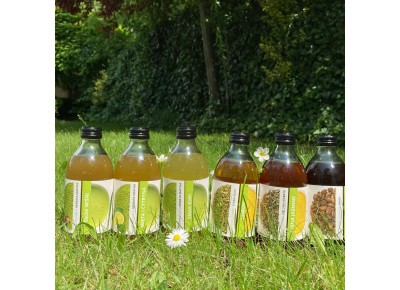 Napój cold brew zielona herbata China Jasmine 330ml Zdjęcie 5 z 5
