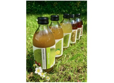 Napój cold brew Yerba Mate Lemon 330ml Zdjęcie 5 z 5