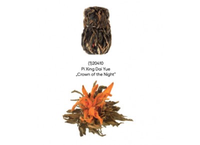 Pi Xing Dai Yue "Królowa Nocy"