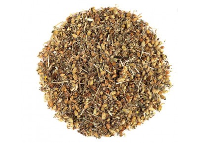 Krwawnik pospolity (Achillea millefolium L.)