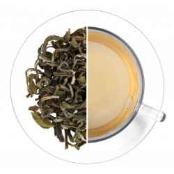 Nepal Green Tea