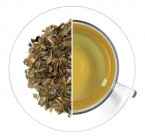 Yerba Mate Green
